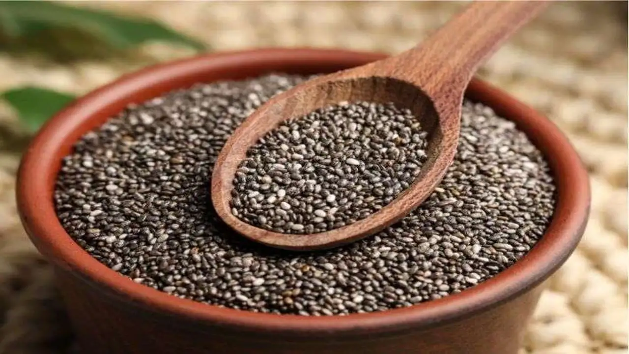 تفاصيل الشروط والمستندات لإصدار رخصة تداول البذور 2025